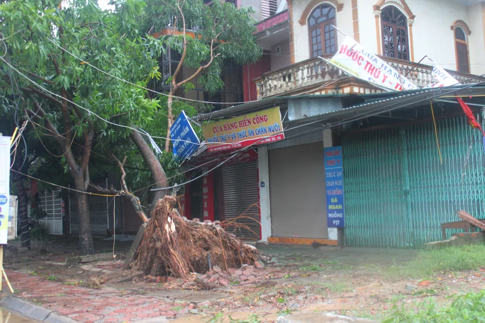 Hà Tĩnh, Nghệ An ngổn ngang sau bão ảnh 14