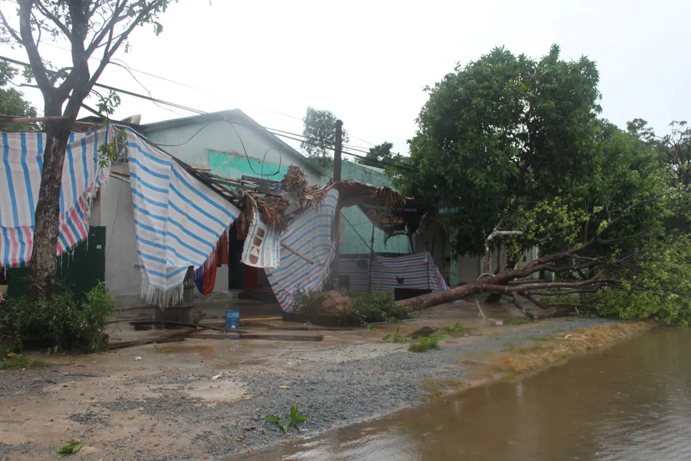 Hà Tĩnh, Nghệ An ngổn ngang sau bão ảnh 10