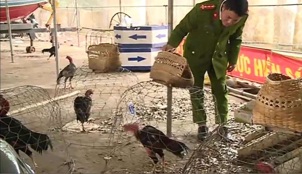 Triệt phá sới đá gà, bắt giữ 30 đối tượng ảnh 1 Triệt phá sới đá gà, bắt giữ 30 đối tượng ảnh 1