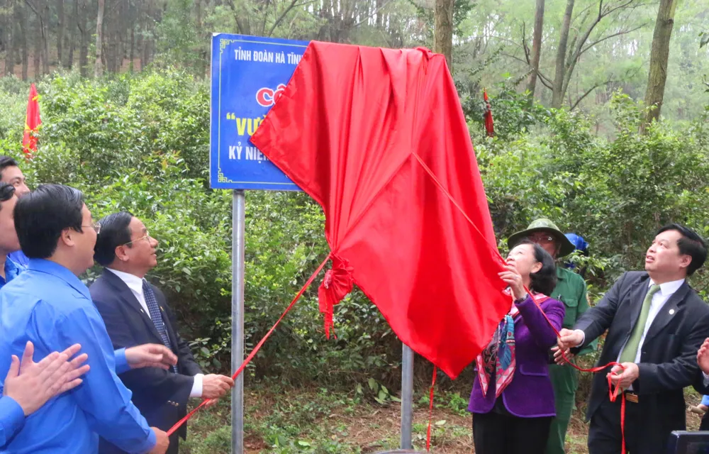 Phát động tháng thanh niên và Tết trồng cây “Đời đời nhớ ơn Bác Hồ”  ảnh 2