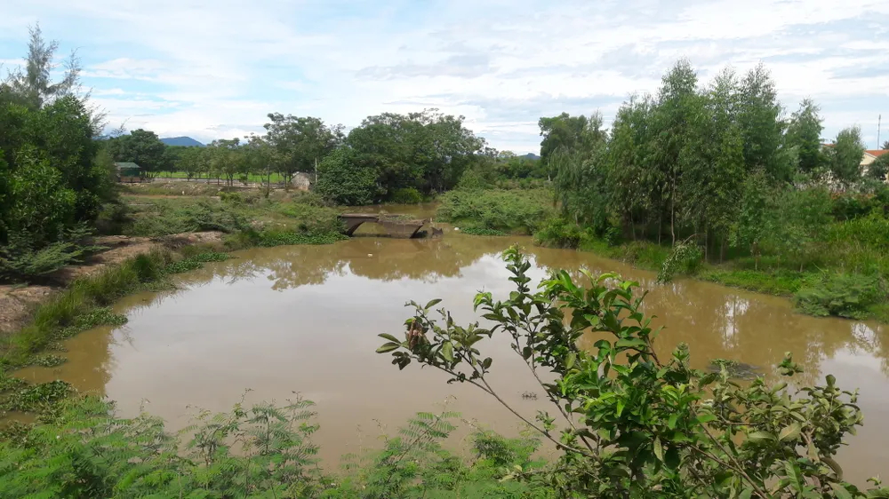 Kỷ niệm 50 năm ngày hy sinh 53 liệt sĩ tại cầu Nhe, tỉnh Hà Tĩnh  ảnh 4