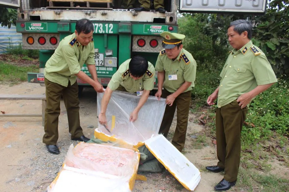 Phát hiện xe container chở 5 tấn nầm heo bốc mùi vào Nam tiêu thụ  ảnh 1