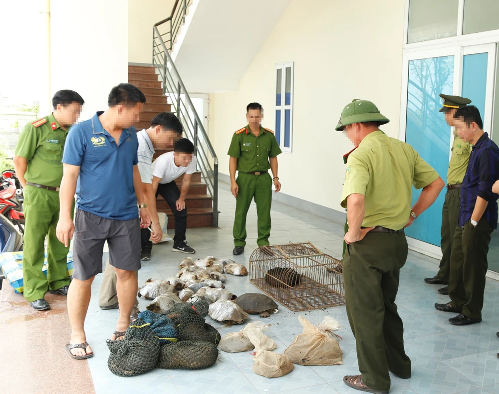 Động vật hoang dã bị lực lượng chức năng bắt giữ