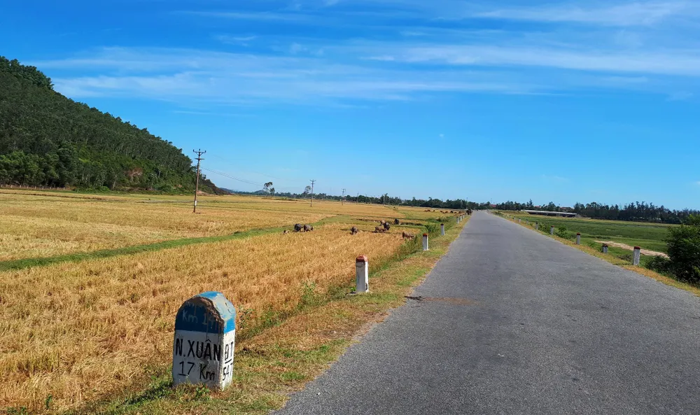 Nắng nóng gay gắt kéo dài ở Hà Tĩnh, nguy cơ cháy rừng cao  ảnh 3
