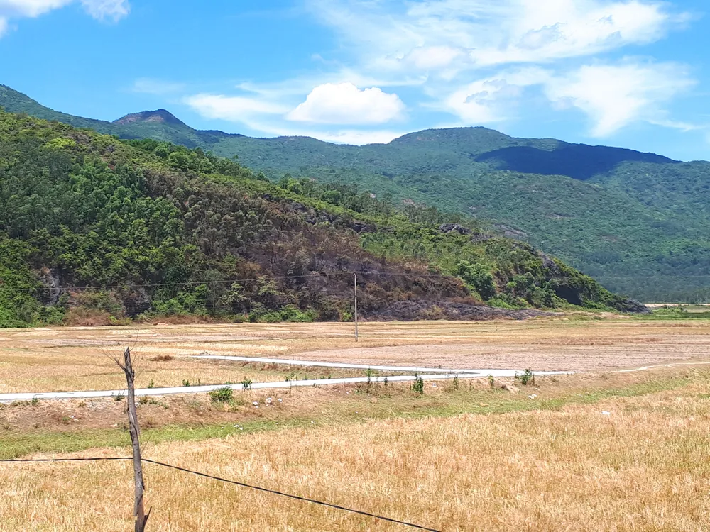 Nắng nóng gay gắt kéo dài ở Hà Tĩnh, nguy cơ cháy rừng cao  ảnh 6