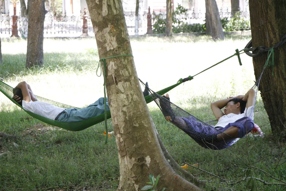 Nắng nóng gay gắt kéo dài ở Hà Tĩnh, nguy cơ cháy rừng cao  ảnh 10