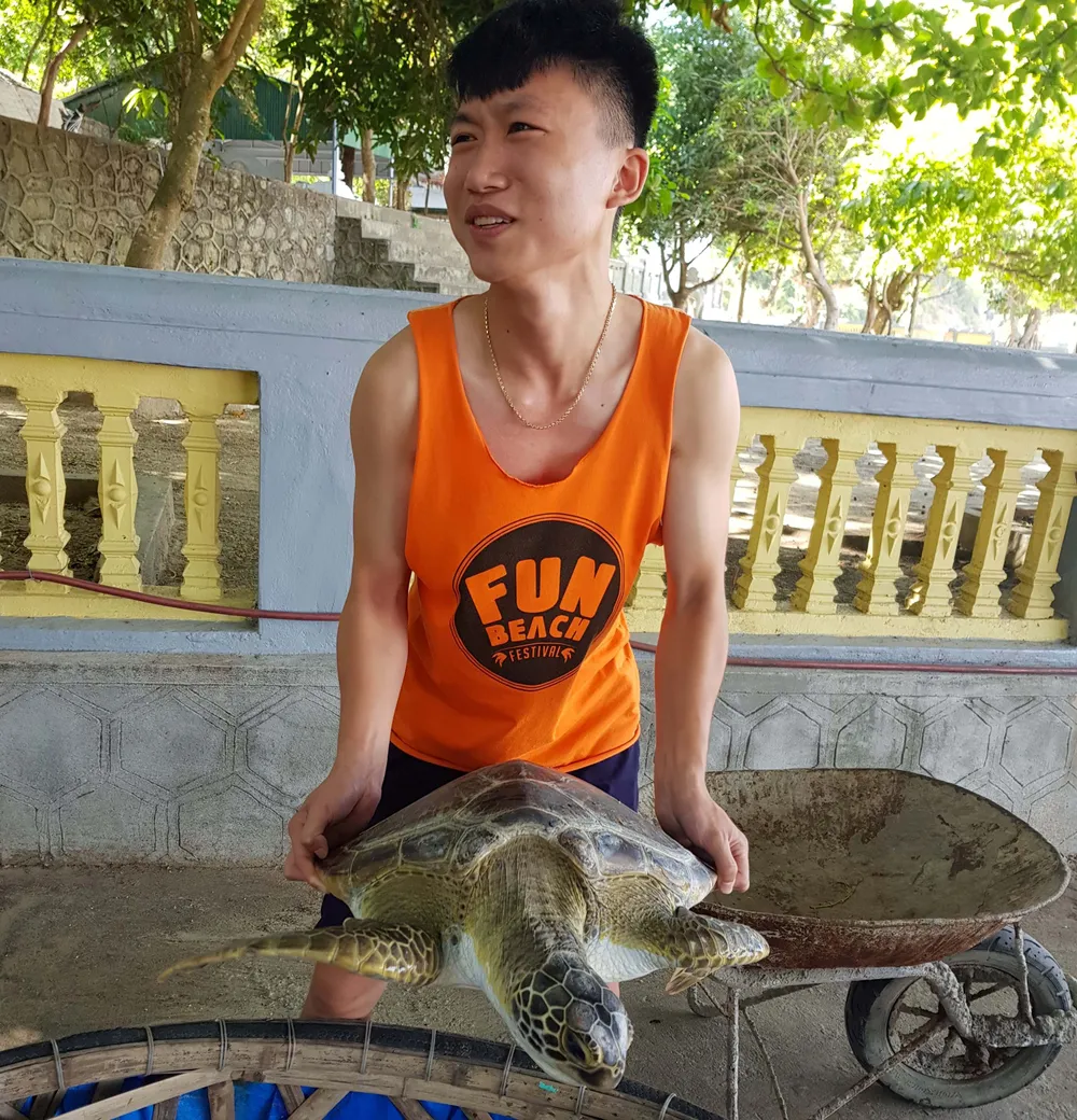 CLIP: Thả rùa biển 40kg về lại môi trường tự nhiên ở Hà Tĩnh ảnh 1