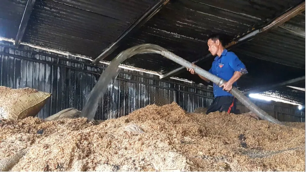 Cháy xưởng ép vỏ trấu nhiên liệu  ảnh 1