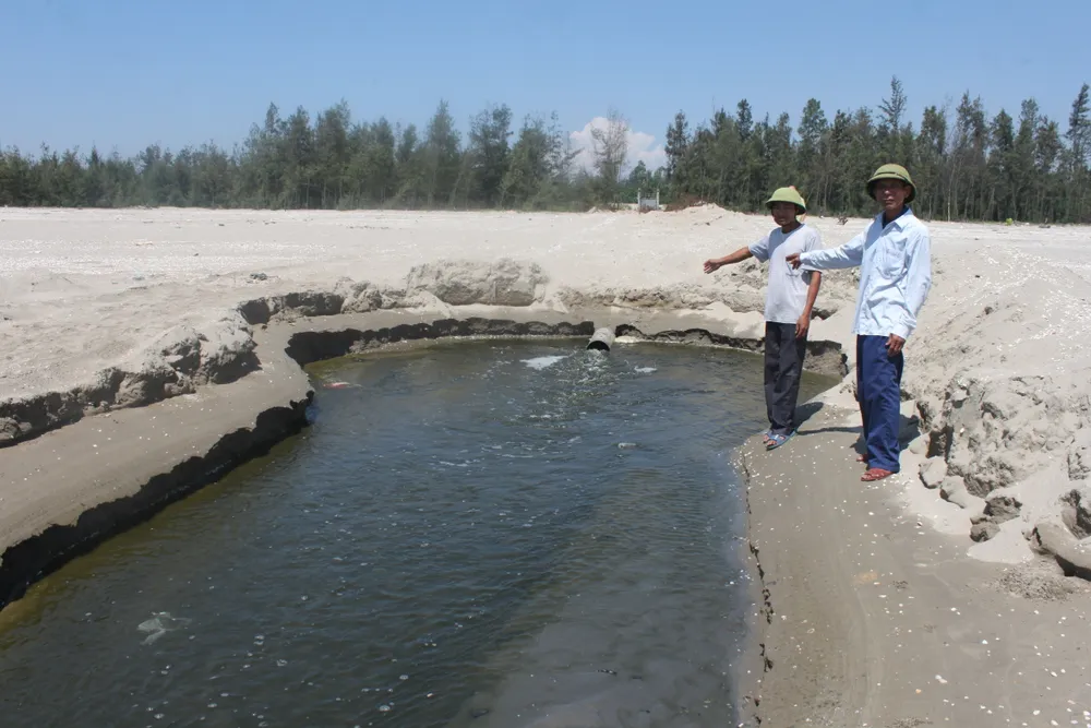 Một doanh nghiệp nuôi tôm xả thải gây ô nhiễm môi trường bị phạt 435 triệu đồng  ảnh 2