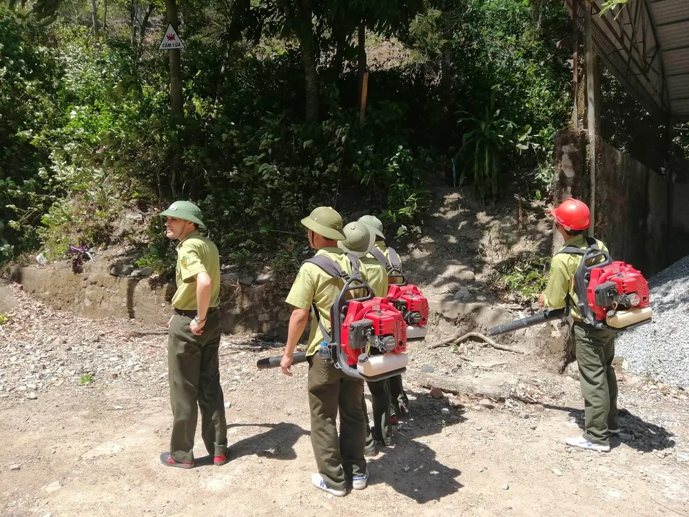 Tạm giữ một người đàn ông nghi liên quan vụ cháy rừng ở Hà Tĩnh ảnh 4