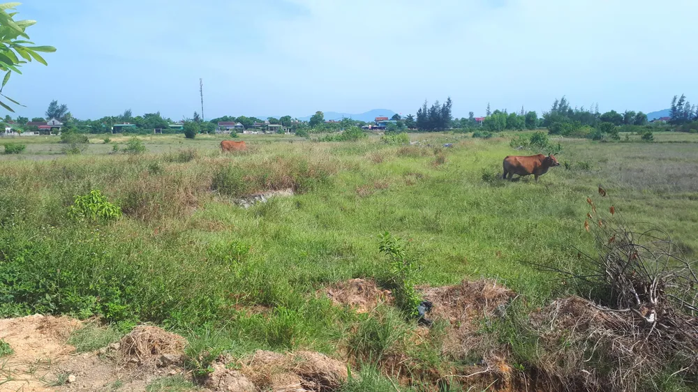 Hoang vắng ở cánh đồng muối Hộ Độ ảnh 17