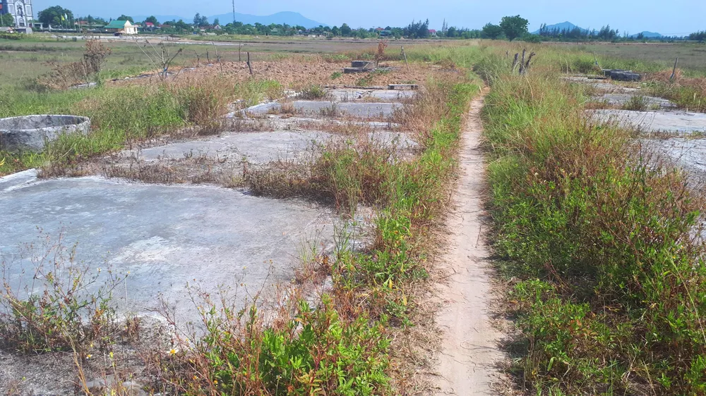 Hoang vắng ở cánh đồng muối Hộ Độ ảnh 10