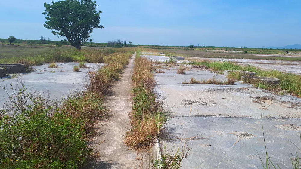 Hoang vắng ở cánh đồng muối Hộ Độ ảnh 12