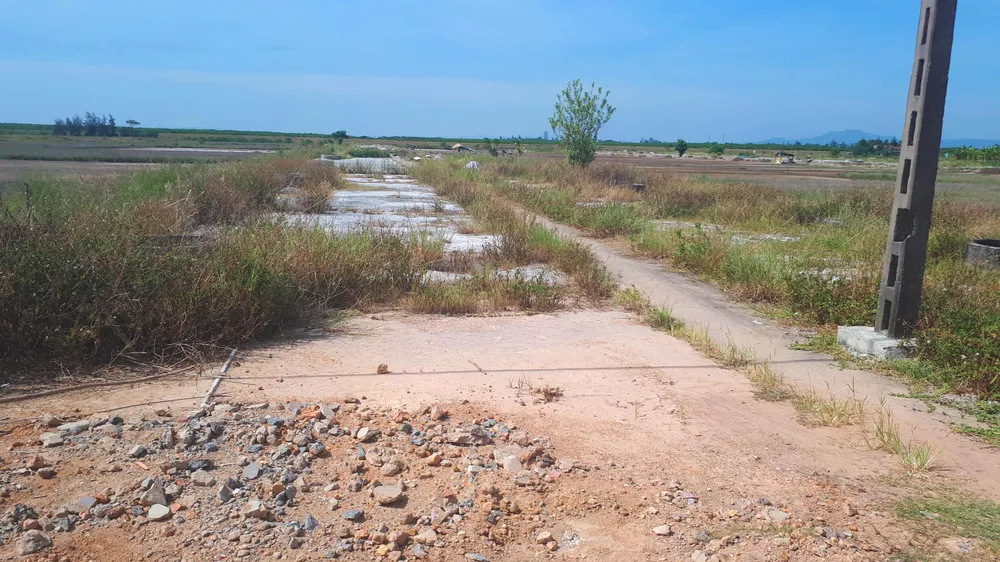 Hoang vắng ở cánh đồng muối Hộ Độ ảnh 14