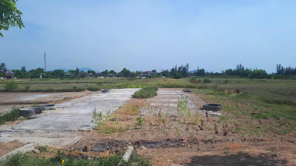 Hoang vắng ở cánh đồng muối Hộ Độ ảnh 15