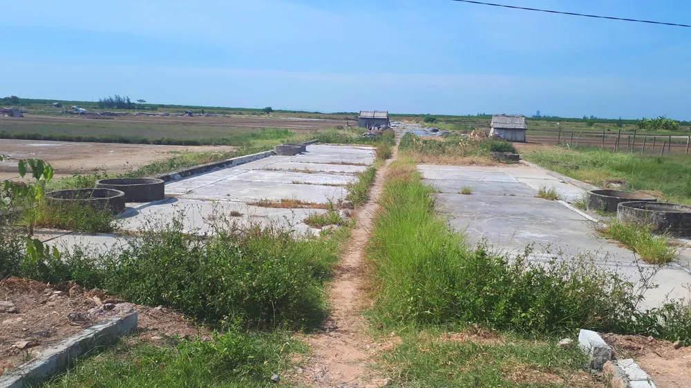 Hoang vắng ở cánh đồng muối Hộ Độ ảnh 16