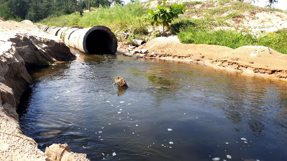 Mùi hôi thối bên cơ sở nuôi tôm xả nước bẩn ra môi trường ảnh 4