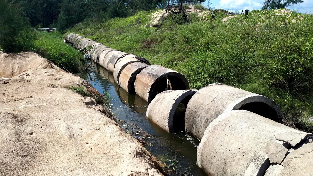 Mùi hôi thối bên cơ sở nuôi tôm xả nước bẩn ra môi trường ảnh 3