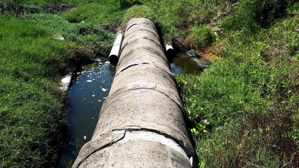 Mùi hôi thối bên cơ sở nuôi tôm xả nước bẩn ra môi trường ảnh 5