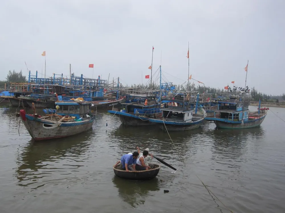 Hà Tĩnh: Lốc xoáy làm 2 người bị thương, nhiều nhà dân bị tốc mái ảnh 6