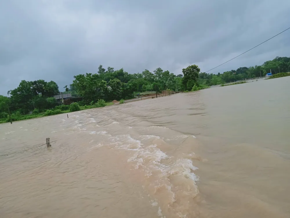 Hà Tĩnh: Vẫn chưa liên lạc được với 7 người dân tộc Chứt vào rừng lấy lá nón ảnh 2 Hà Tĩnh: Vẫn chưa liên lạc được với 7 người dân tộc Chứt vào rừng lấy lá nón ảnh 2
