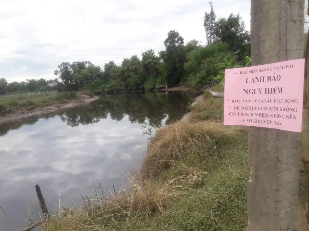 Đang tìm bắt cá sấu xuất hiện trên sông cầu Đông ở Hà Tĩnh ảnh 3