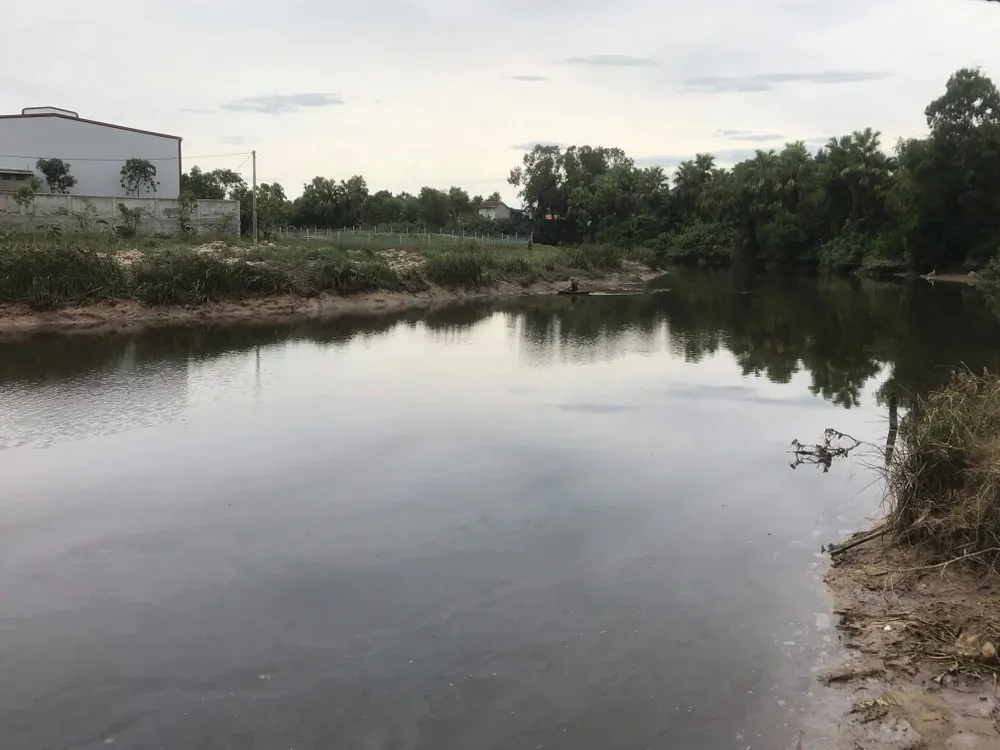 Đang tìm bắt cá sấu xuất hiện trên sông cầu Đông ở Hà Tĩnh ảnh 1