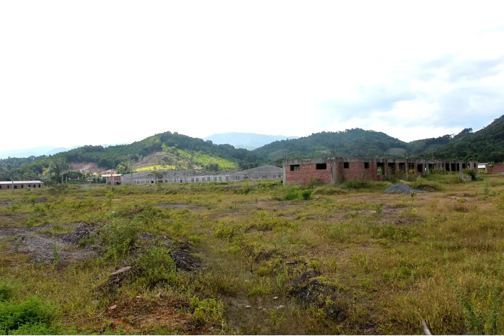 Công trình bỏ hoang, cỏ mọc um tùm