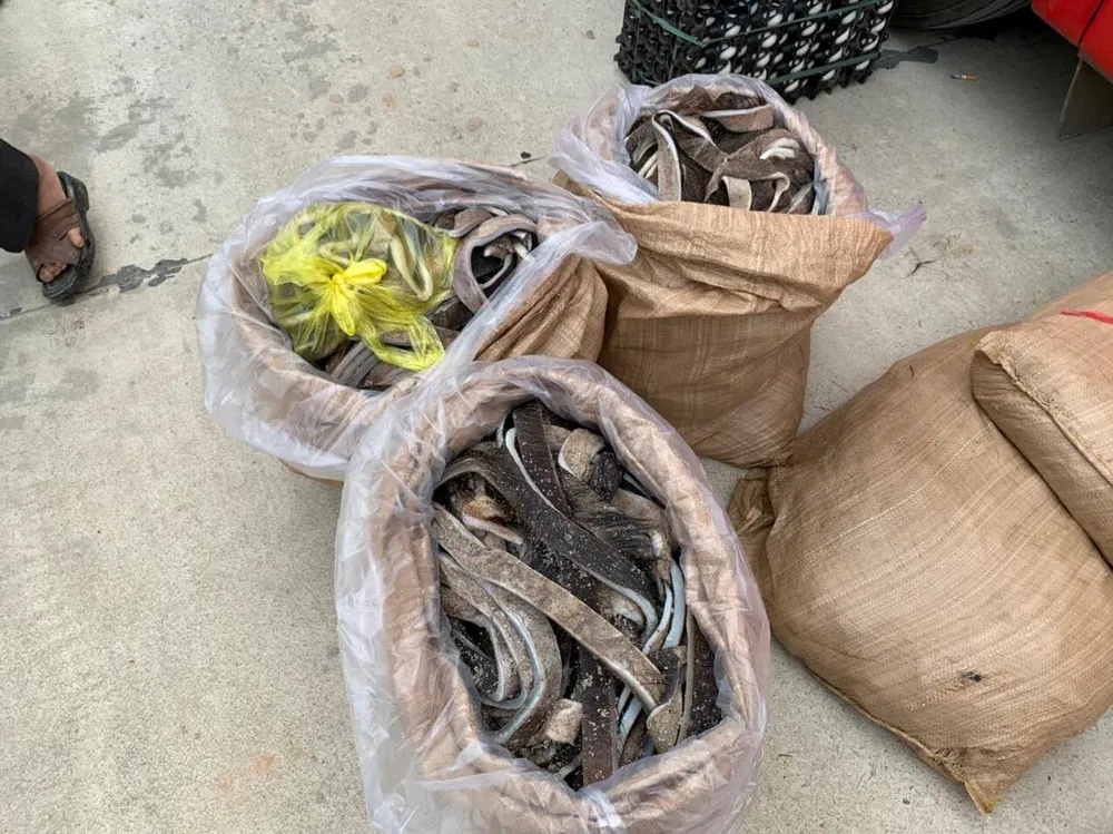 Phát hiện ô tô khách vận chuyển gần 30.000 khẩu trang y tế từ Việt Nam sang Lào ảnh 4