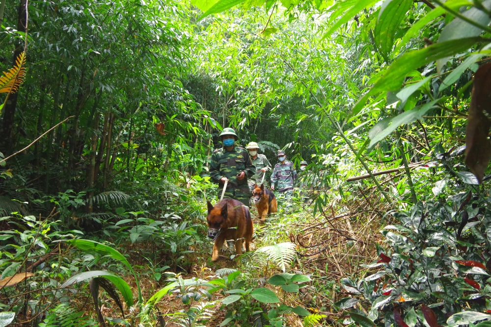 Bộ đội Biên phòng Hà Tĩnh tuần tra kiểm soát ngăn chặn tình trạng người dân vượt biên trái phép