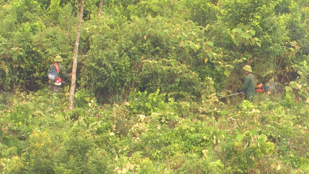 Hà Tĩnh: Xử lý tình trạng lấn chiếm đất trái phép ảnh 2