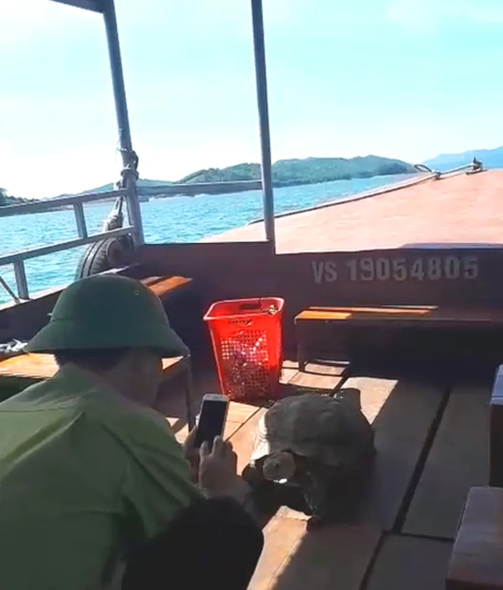 Thả cá thể rùa quý hiếm nặng gần 17kg về môi trường rừng tự nhiên ảnh 5