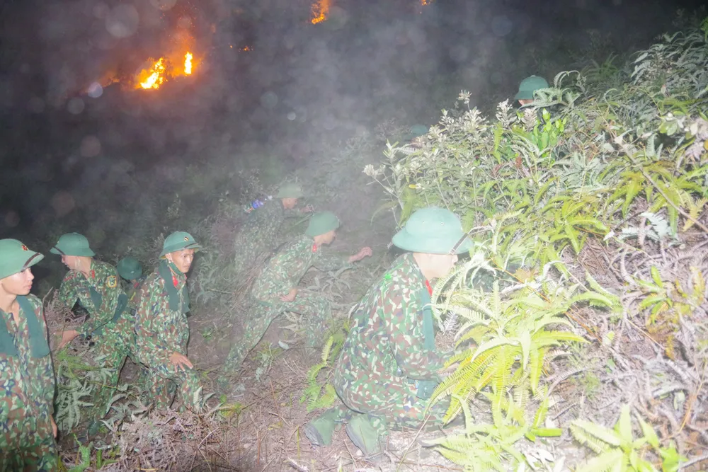 Cơ bản khống chế được đám cháy rừng ở Hà Tĩnh ảnh 12