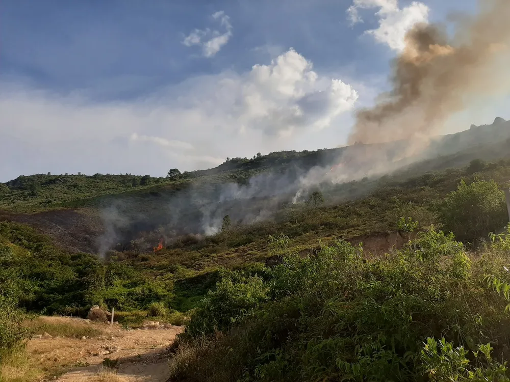 Cơ bản khống chế được đám cháy rừng ở Hà Tĩnh ảnh 4