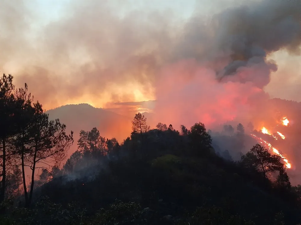 Cơ bản khống chế được đám cháy rừng ở Hà Tĩnh ảnh 8