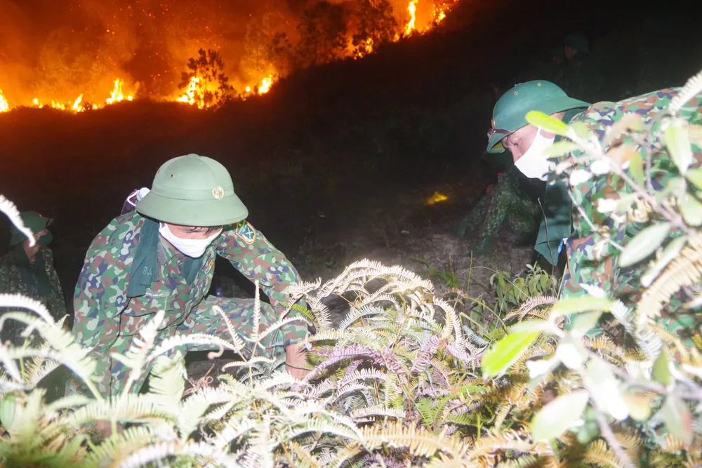 Cơ bản khống chế được đám cháy rừng ở Hà Tĩnh ảnh 2