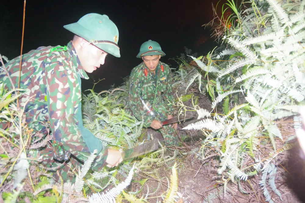 Cơ bản khống chế được đám cháy rừng ở Hà Tĩnh ảnh 17