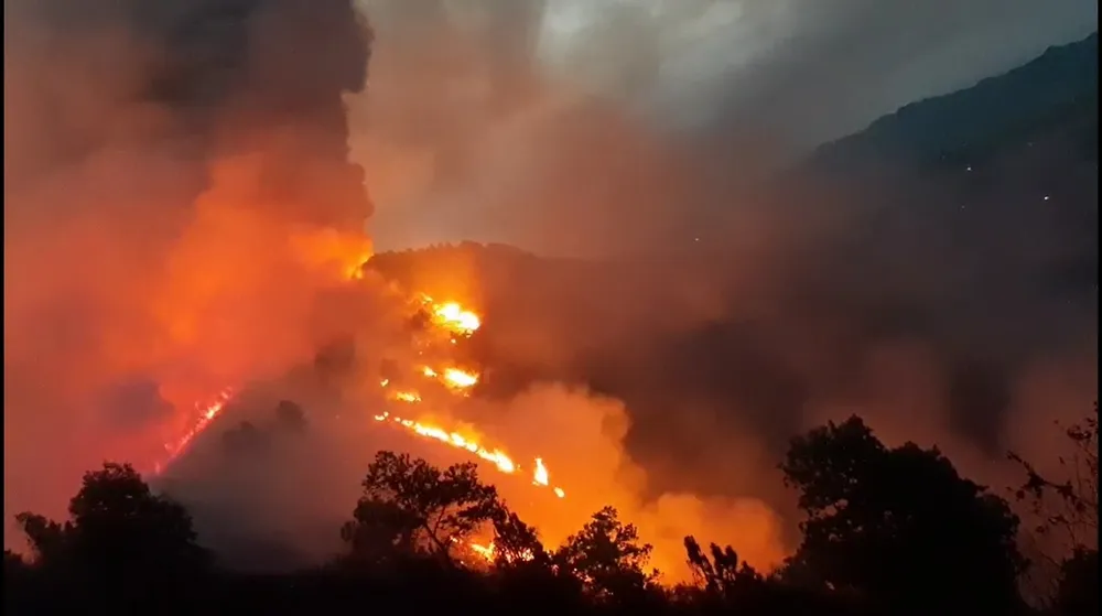 Cơ bản khống chế được đám cháy rừng ở Hà Tĩnh ảnh 7