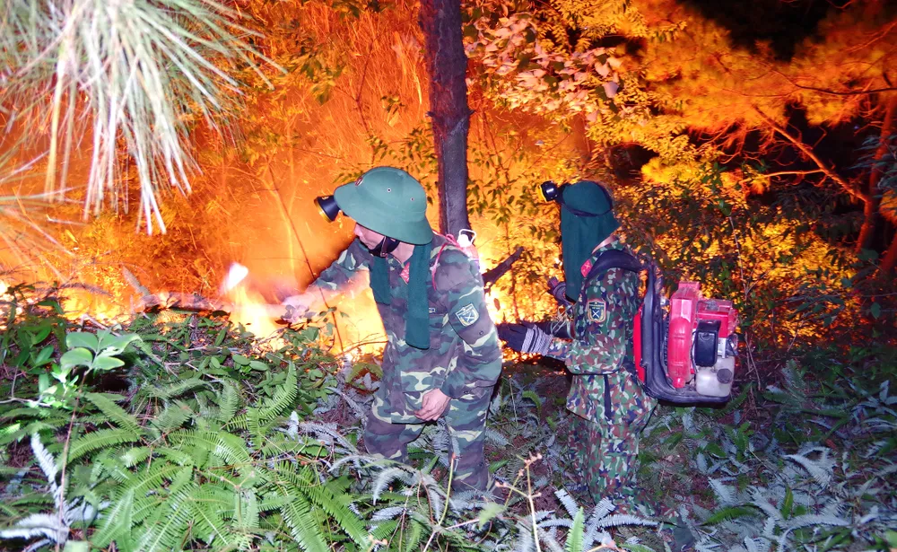 Cơ bản khống chế được đám cháy rừng ở Hà Tĩnh ảnh 3 Cơ bản khống chế được đám cháy rừng ở Hà Tĩnh ảnh 3