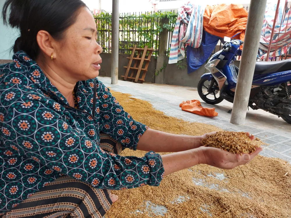 Tích cực dọn dẹp vệ sinh trường lớp sau khi lũ rút ảnh 9