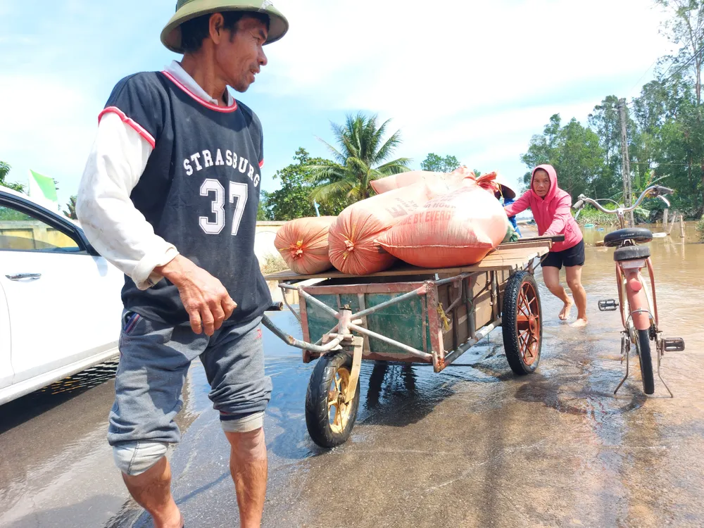 Nước mắt người dân vùng tâm lũ ở Hà Tĩnh ảnh 5