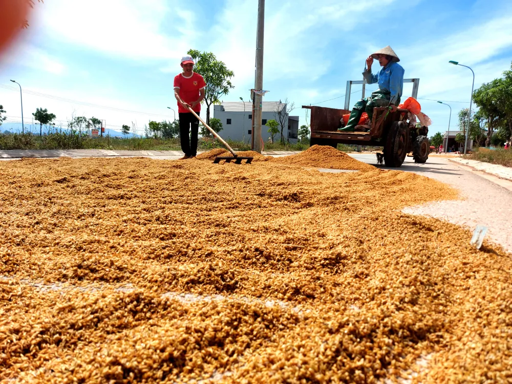 Nước mắt người dân vùng tâm lũ ở Hà Tĩnh ảnh 4