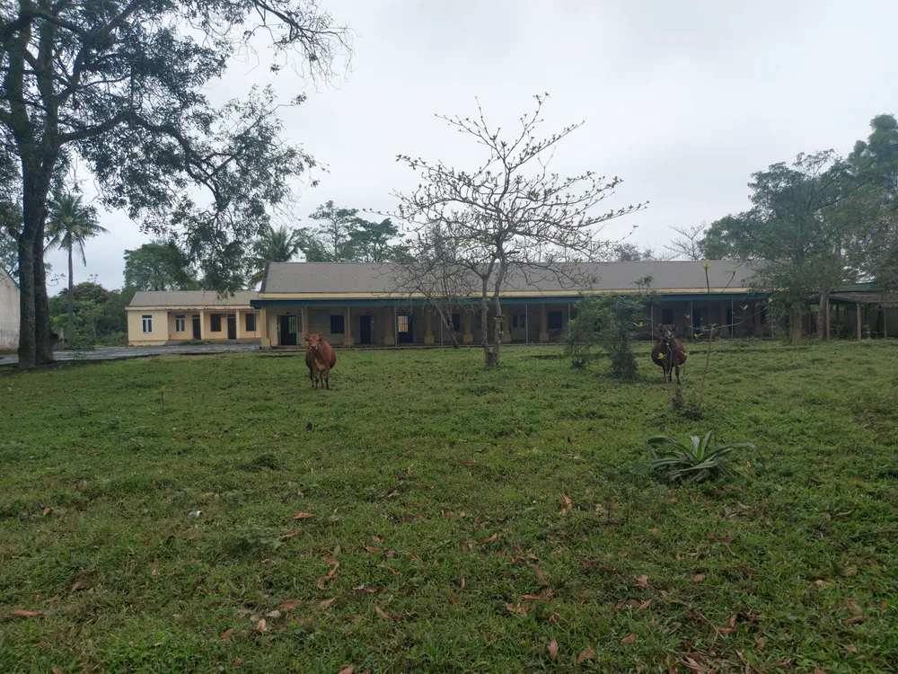 Hoang tàn nơi từng là Trung tâm Phục hồi chức năng và dưỡng sinh Võ Hoàng Yên ở Hà Tĩnh ảnh 4