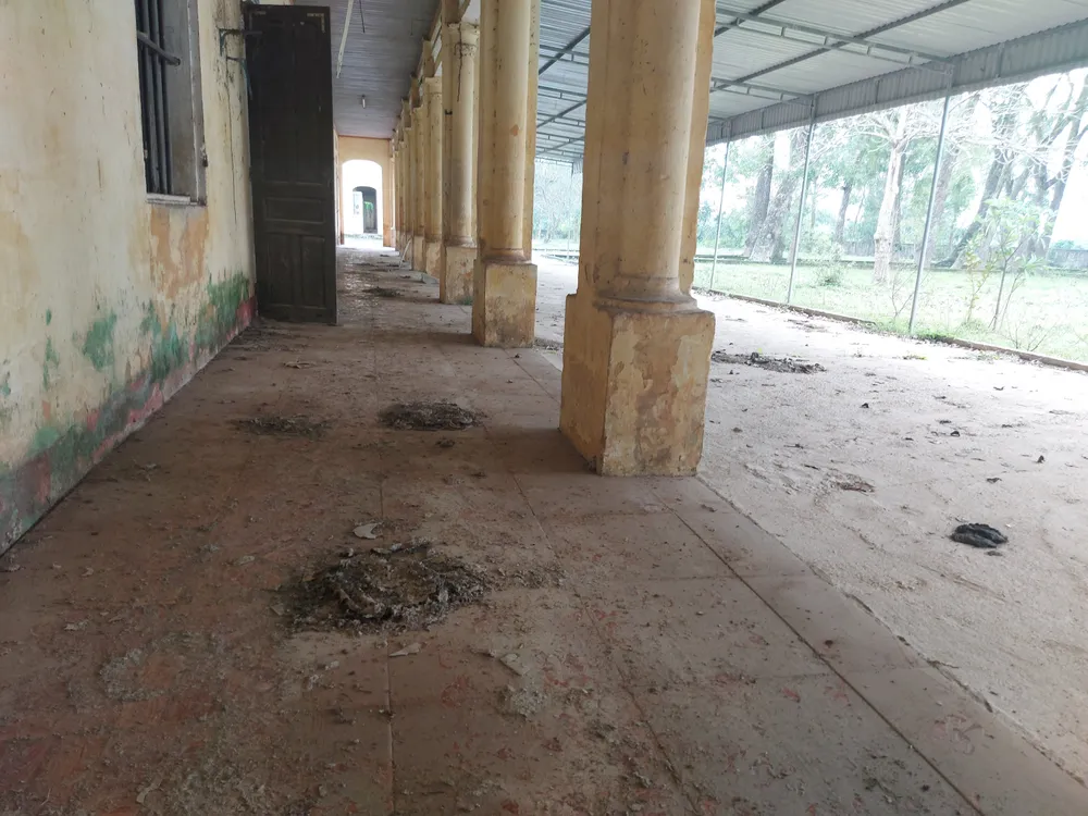 Hoang tàn nơi từng là Trung tâm Phục hồi chức năng và dưỡng sinh Võ Hoàng Yên ở Hà Tĩnh ảnh 24