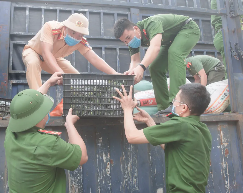 Người dân miền núi Hà Tĩnh tiếp tục quyên góp gần 120 tấn hàng hóa ủng hộ TPHCM và các tỉnh phía Nam ảnh 6