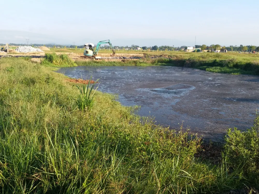 Hà Tĩnh: Xử lý vi phạm trong chăn nuôi, bảo vệ môi trường tại Dự án trang trại chăn nuôi bò sữa cao sản Bắc Hà ảnh 2