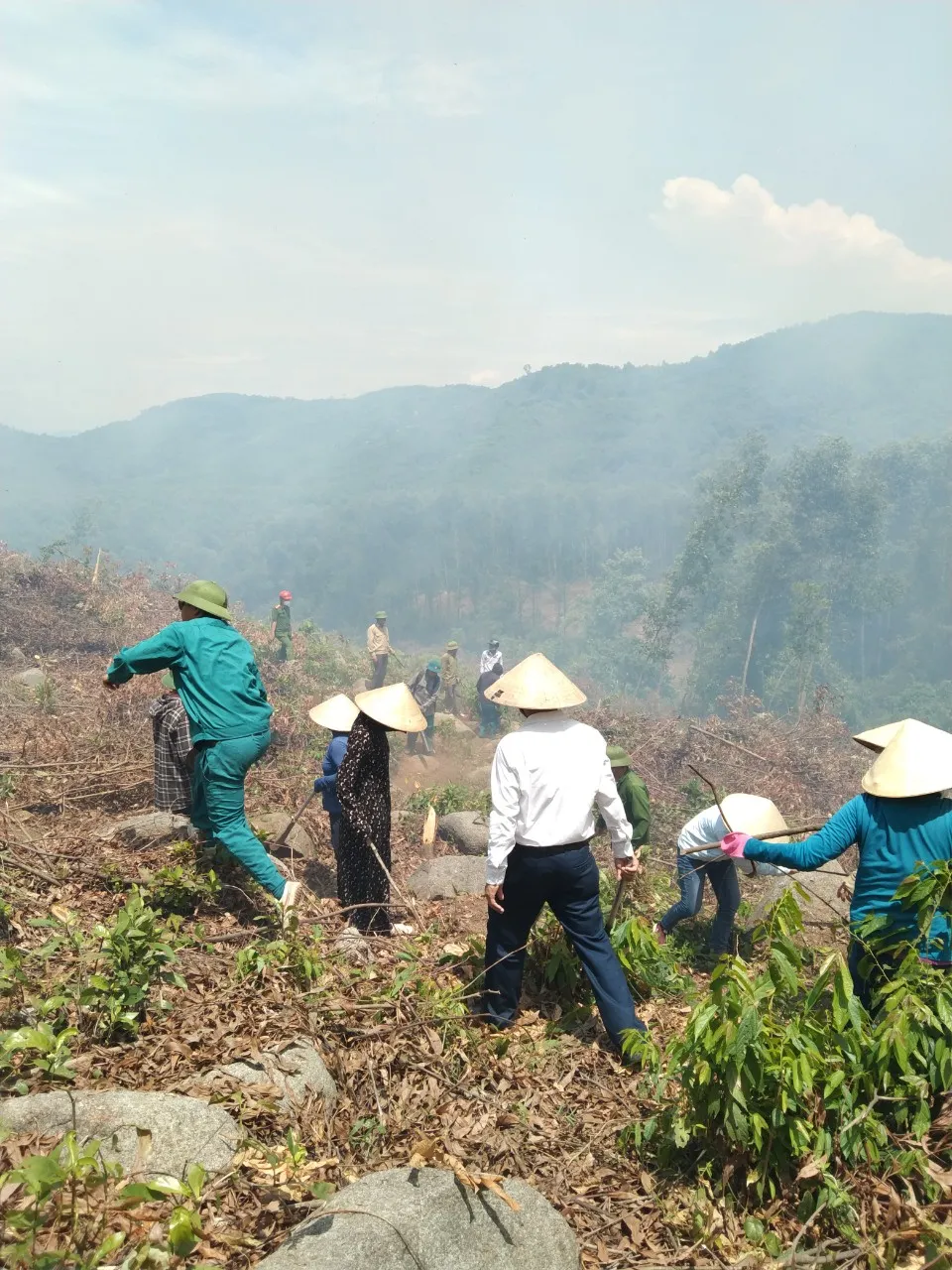 Phạt 25 triệu đồng vì đốt thực bì gây cháy rừng ảnh 3