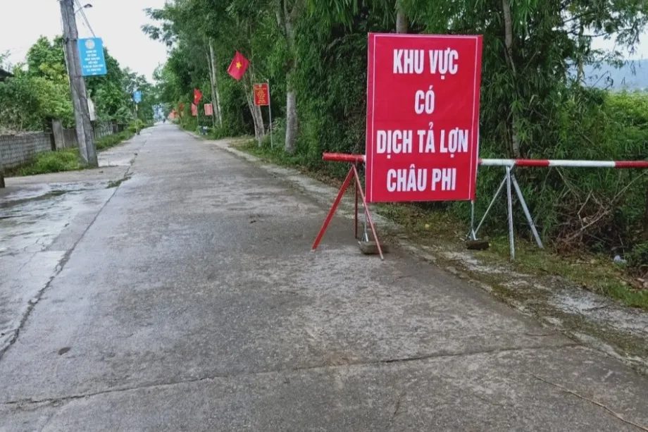 Tái bùng phát dịch tả heo châu Phi ở Nghi Xuân, Hà Tĩnh ảnh 5