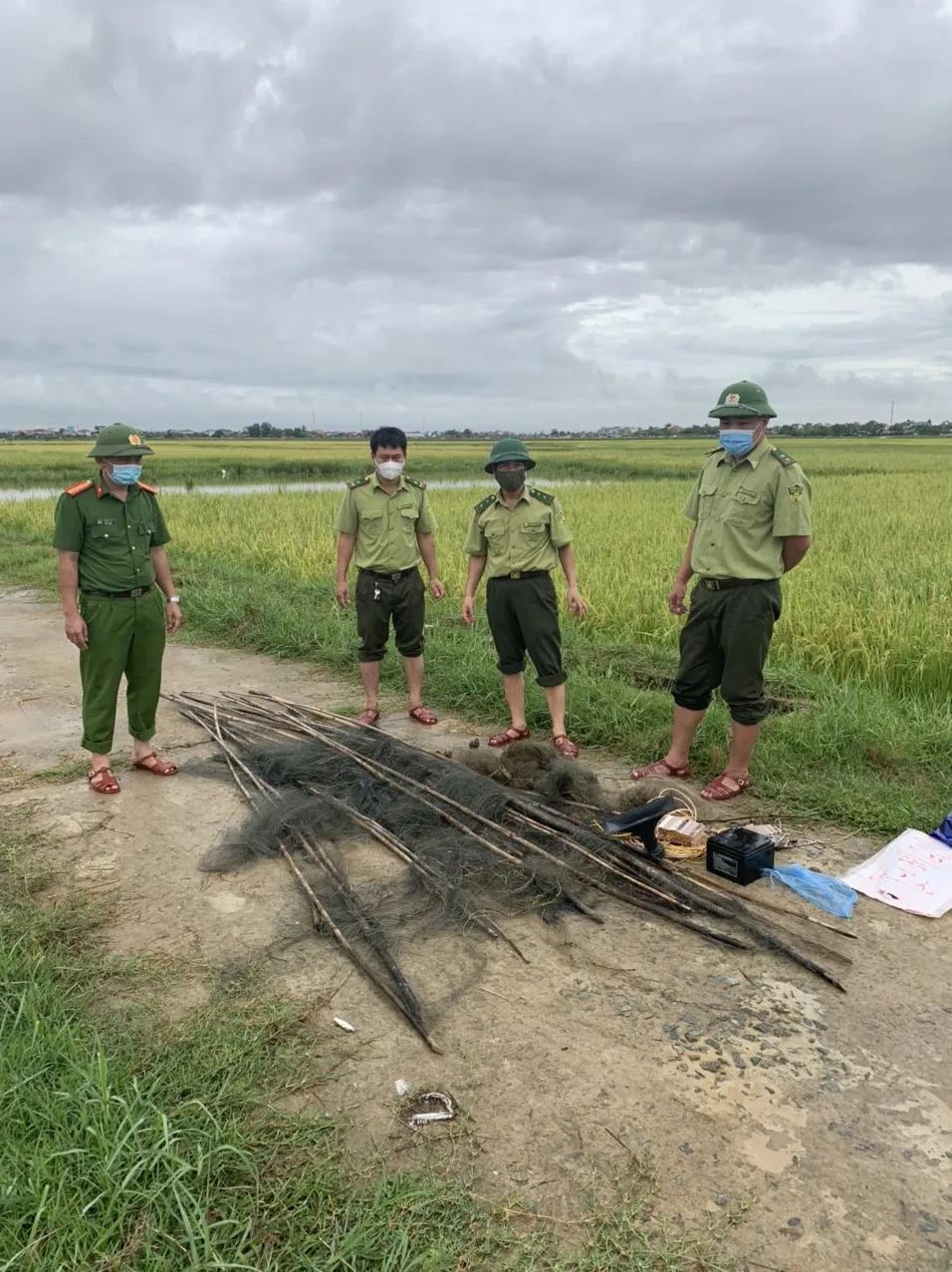 Hà Tĩnh: Tăng cường xử lý nạn săn bắt chim tự nhiên, động vật hoang dã ảnh 6 Hà Tĩnh: Tăng cường xử lý nạn săn bắt chim tự nhiên, động vật hoang dã ảnh 6
