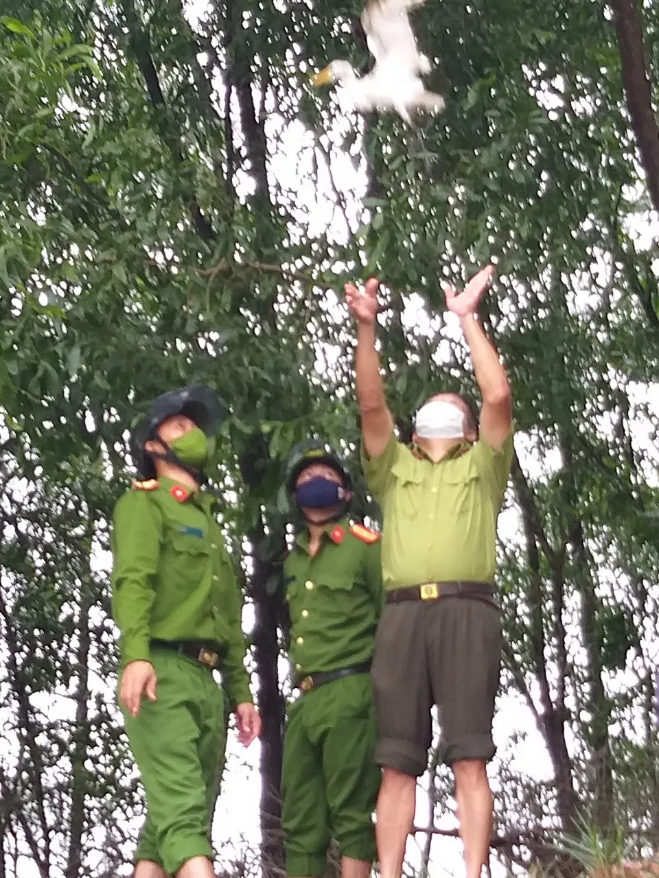 Hà Tĩnh: Tăng cường xử lý nạn săn bắt chim tự nhiên, động vật hoang dã ảnh 11 Hà Tĩnh: Tăng cường xử lý nạn săn bắt chim tự nhiên, động vật hoang dã ảnh 11
